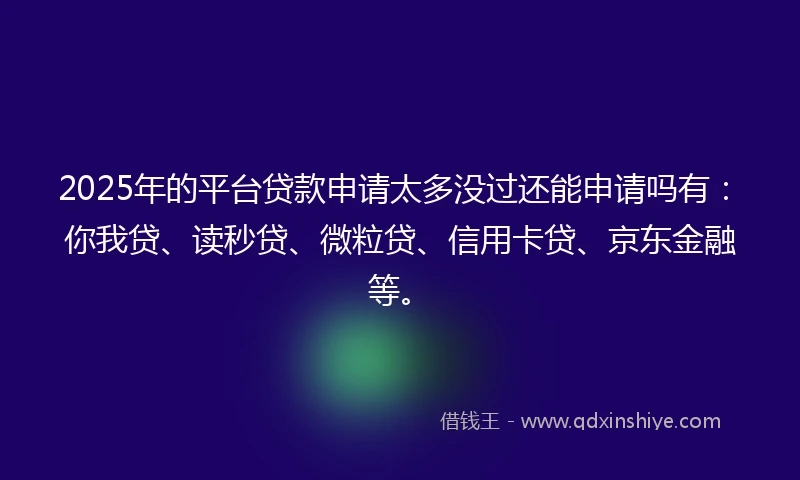 2025年的平台贷款申请太多没过还能申请吗有：你我贷、读秒贷、微粒贷、信用卡贷、京东金融等。