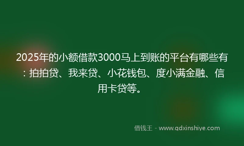 2025年的小额借款3000马上到账的平台有哪些有：拍拍贷、我来贷、小花钱包、度小满金融、信用卡贷等。