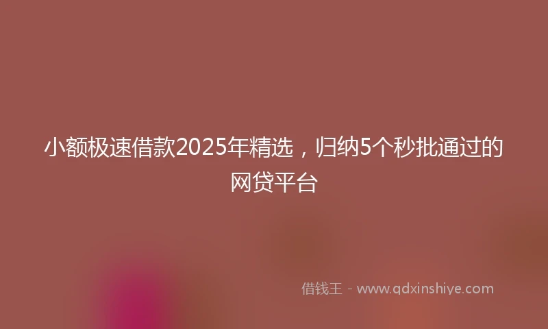 小额极速借款2025年精选，归纳5个秒批通过的网贷平台