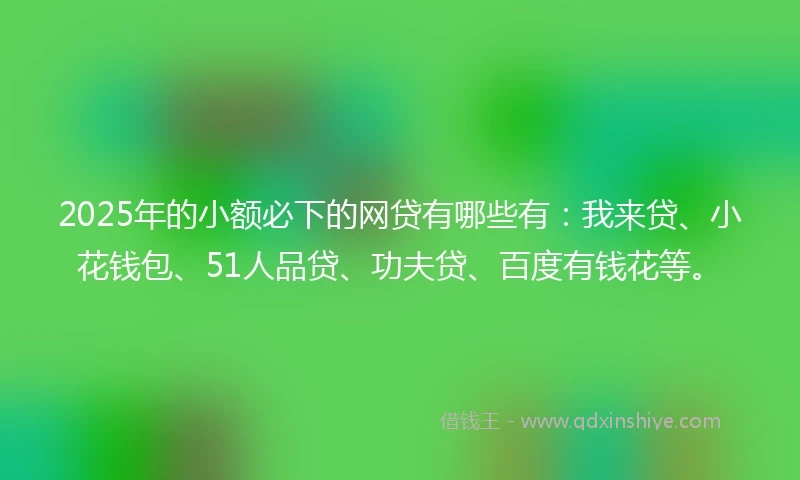 2025年的小额必下的网贷有哪些有：我来贷、小花钱包、51人品贷、功夫贷、百度有钱花等。