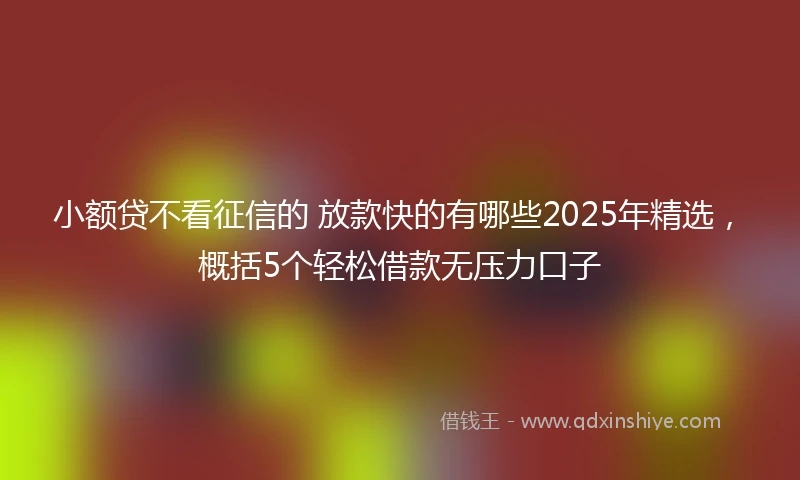小额贷不看征信的 放款快的有哪些2025年精选，概括5个轻松借款无压力口子