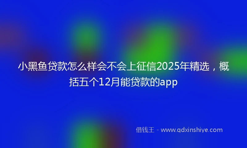 小黑鱼贷款怎么样会不会上征信2025年精选，概括五个12月能贷款的app