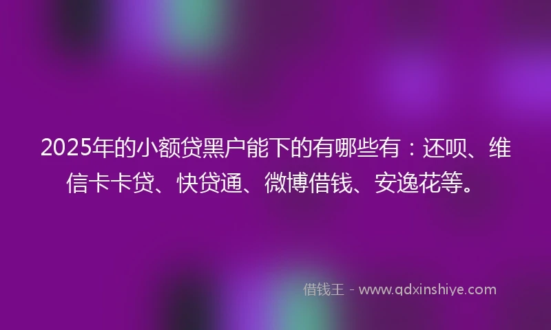 2025年的小额贷黑户能下的有哪些有：还呗、维信卡卡贷、快贷通、微博借钱、安逸花等。