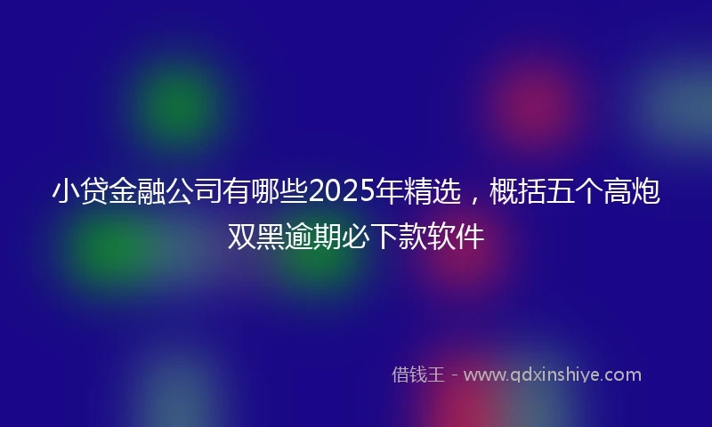 小贷金融公司有哪些2025年精选，概括五个高炮双黑逾期必下款软件