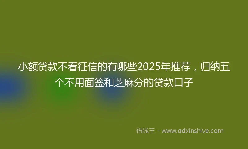 小额贷款不看征信的有哪些2025年推荐，归纳五个不用面签和芝麻分的贷款口子