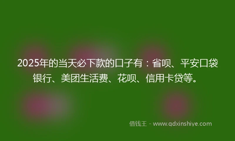 2025年的当天必下款的口子有：省呗、平安口袋银行、美团生活费、花呗、信用卡贷等。