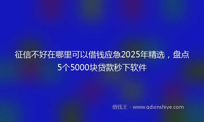 征信不好在哪里可以借钱应急2025年精选，盘点5个5000块贷款秒下软件