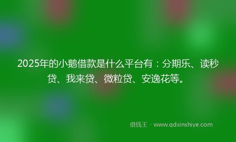 2025年的小鹅借款是什么平台有:分期乐、读秒贷、我来贷、微粒贷、安逸花等。