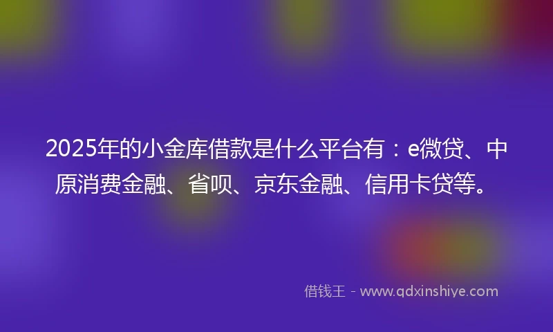 2025年的小金库借款是什么平台有：e微贷、中原消费金融、省呗、京东金融、信用卡贷等。