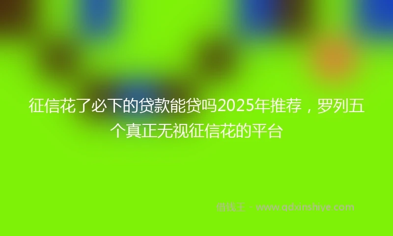 征信花了必下的贷款能贷吗2025年推荐，罗列五个真正无视征信花的平台
