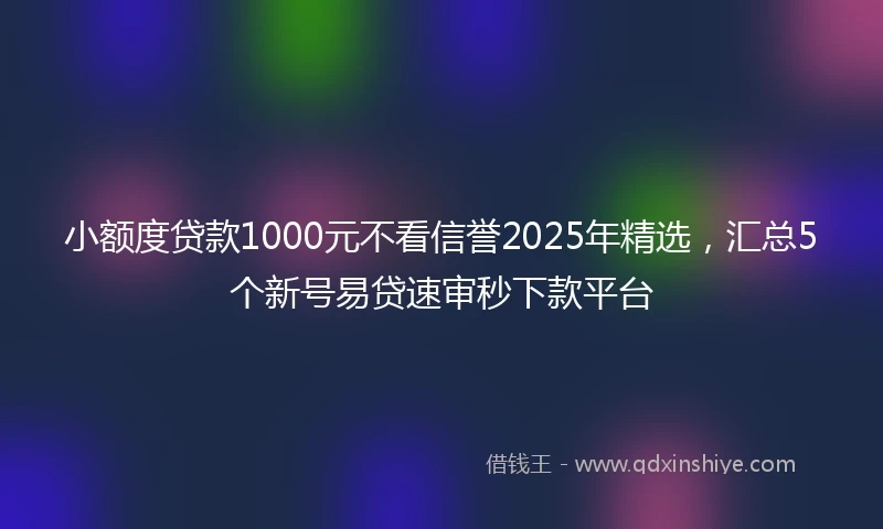 小额度贷款1000元不看信誉2025年精选，汇总5个新号易贷速审秒下款平台