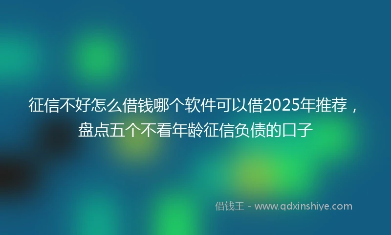 征信不好怎么借钱哪个软件可以借2025年推荐，盘点五个不看年龄征信负债的口子