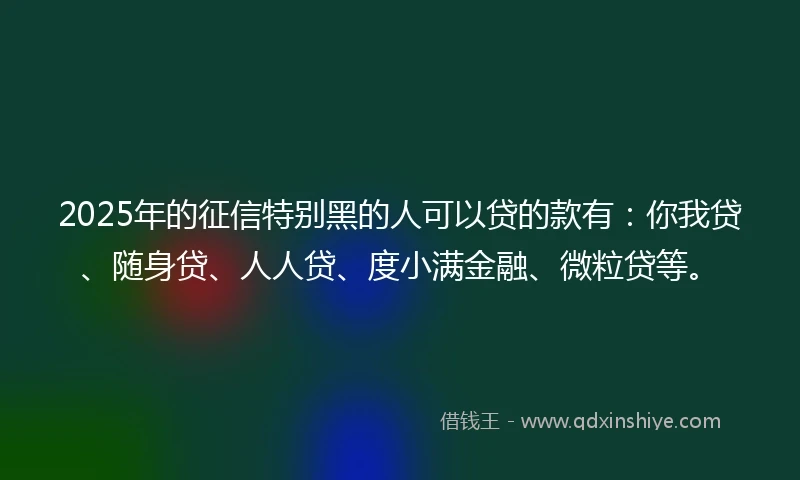 2025年的征信特别黑的人可以贷的款有：你我贷、随身贷、人人贷、度小满金融、微粒贷等。