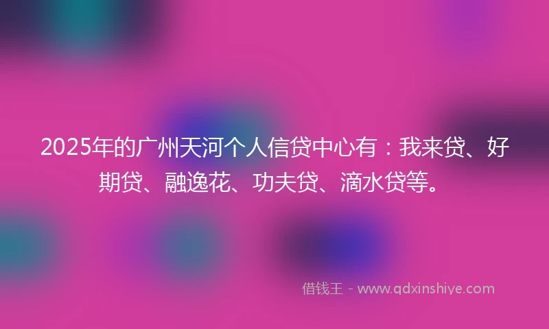 2025年的广州天河个人信贷中心有：我来贷、好期贷、融逸花、功夫贷、滴水贷等。