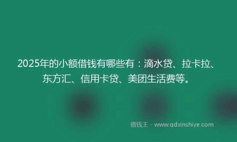 2025年的小额借钱有哪些有：滴水贷、拉卡拉、东方汇、信用卡贷、美团生活费等。