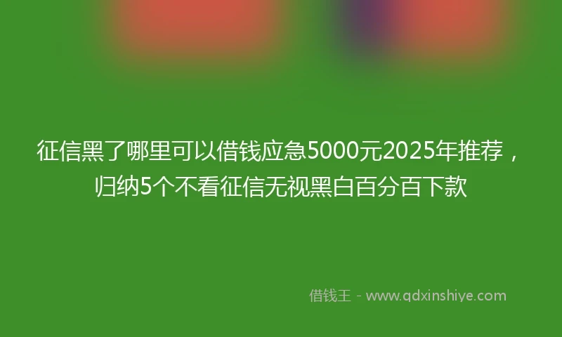 征信黑了哪里可以借钱应急5000元2025年推荐，归纳5个不看征信无视黑白百分百下款