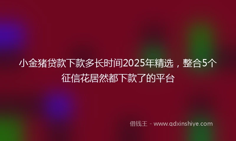 小金猪贷款下款多长时间2025年精选，整合5个征信花居然都下款了的平台
