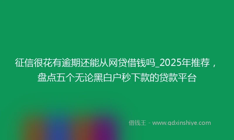 征信很花有逾期还能从网贷借钱吗_2025年推荐，盘点五个无论黑白户秒下款的贷款平台