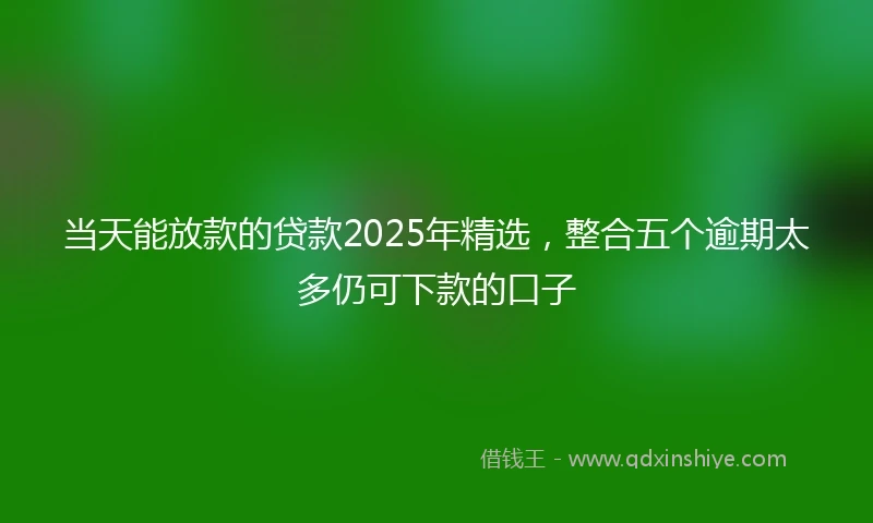 当天能放款的贷款2025年精选,整合五个逾期太多仍可下款的口子