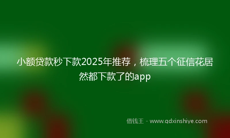 小额贷款秒下款2025年推荐，梳理五个征信花居然都下款了的app