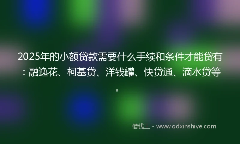 2025年的小额贷款需要什么手续和条件才能贷有：融逸花、柯基贷、洋钱罐、快贷通、滴水贷等。