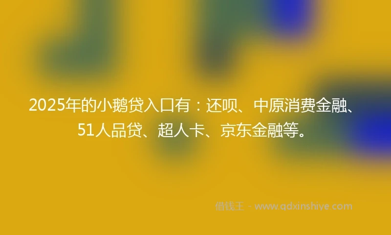 2025年的小鹅贷入口有：还呗、中原消费金融、51人品贷、超人卡、京东金融等。