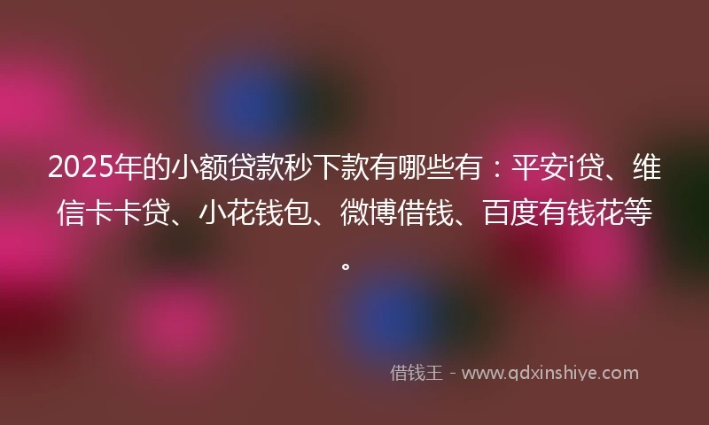 2025年的小额贷款秒下款有哪些有：平安i贷、维信卡卡贷、小花钱包、微博借钱、百度有钱花等。