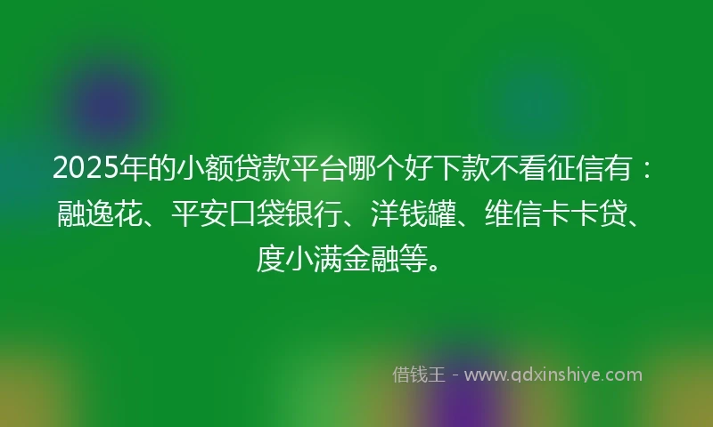 2025年的小额贷款平台哪个好下款不看征信有：融逸花、平安口袋银行、洋钱罐、维信卡卡贷、度小满金融等。