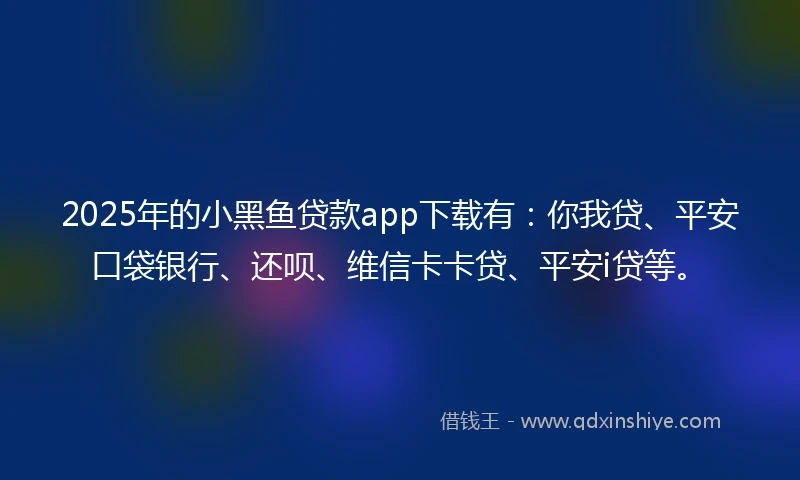 2025年的小黑鱼贷款app下载有：你我贷、平安口袋银行、还呗、维信卡卡贷、平安i贷等。