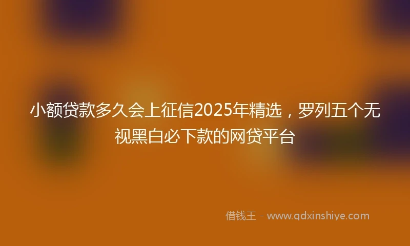 小额贷款多久会上征信2025年精选，罗列五个无视黑白必下款的网贷平台