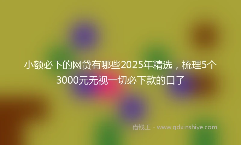 小额必下的网贷有哪些2025年精选，梳理5个3000元无视一切必下款的口子