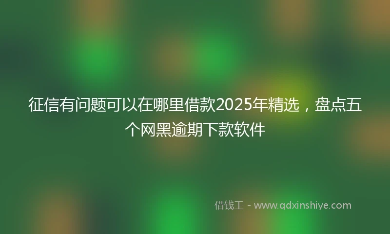 征信有问题可以在哪里借款2025年精选，盘点五个网黑逾期下款软件