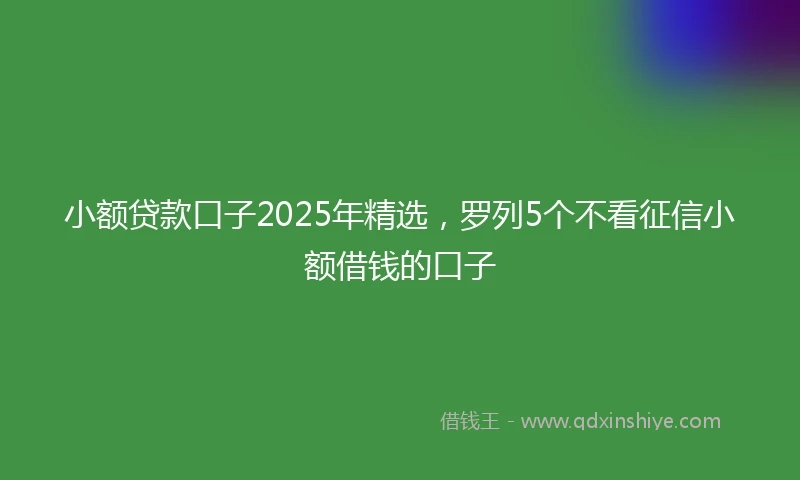 小额贷款口子2025年精选，罗列5个不看征信小额借钱的口子