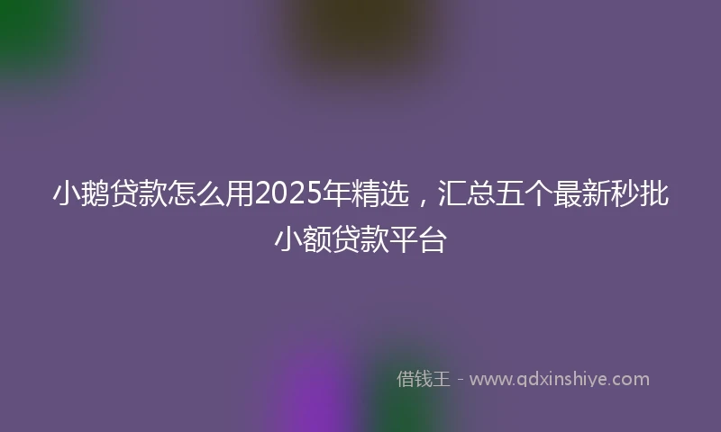 小鹅贷款怎么用2025年精选，汇总五个最新秒批小额贷款平台