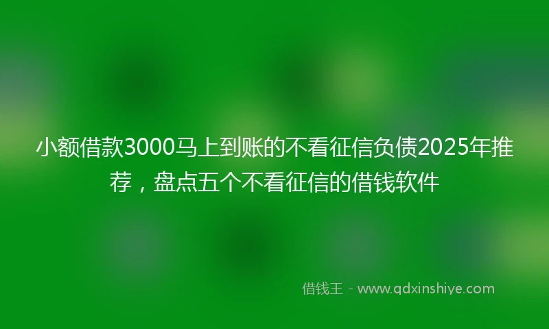 小额借款3000马上到账的不看征信负债2025年推荐，盘点五个不看征信的借钱软件