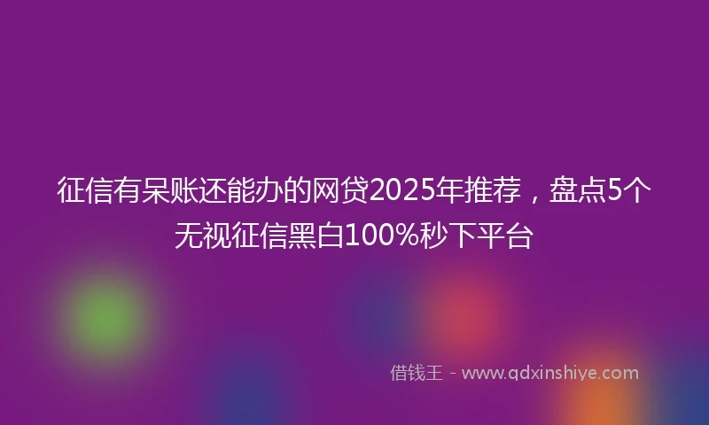 征信有呆账还能办的网贷2025年推荐，盘点5个无视征信黑白100%秒下平台