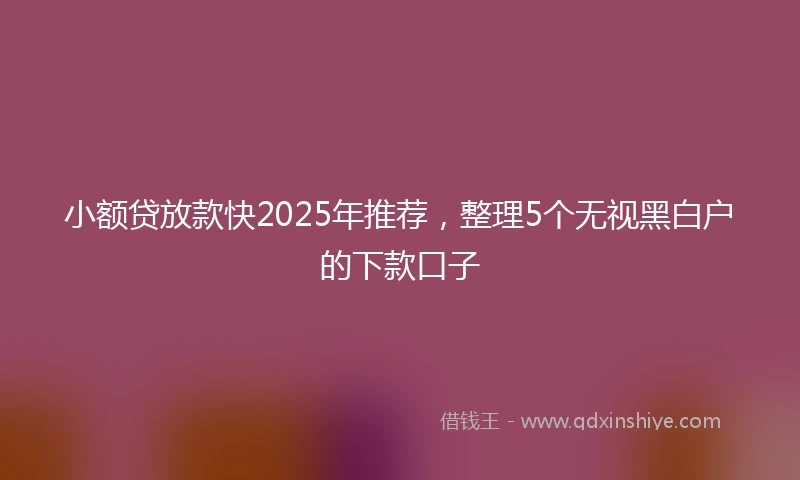 小额贷放款快2025年推荐，整理5个无视黑白户的下款口子