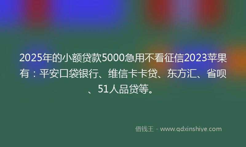 2025年的小额贷款5000急用不看征信2023苹果有：平安口袋银行、维信卡卡贷、东方汇、省呗、51人品贷等。