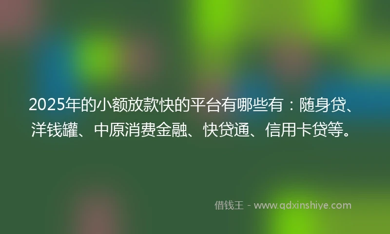 2025年的小额放款快的平台有哪些有：随身贷、洋钱罐、中原消费金融、快贷通、信用卡贷等。