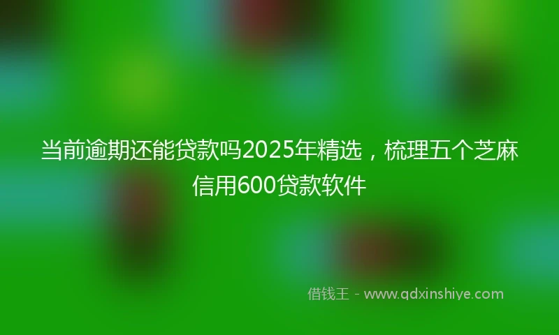 当前逾期还能贷款吗2025年精选，梳理五个芝麻信用600贷款软件