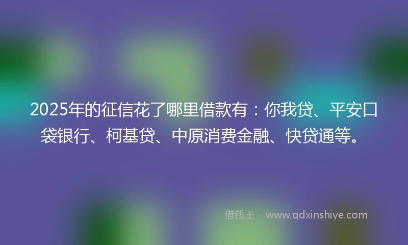 2025年的征信花了哪里借款有：你我贷、平安口袋银行、柯基贷、中原消费金融、快贷通等。