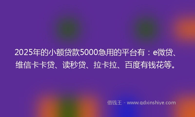2025年的小额贷款5000急用的平台有：e微贷、维信卡卡贷、读秒贷、拉卡拉、百度有钱花等。