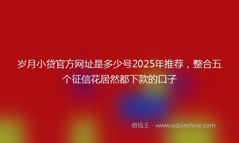 岁月小贷官方网址是多少号2025年推荐，整合五个征信花居然都下款的口子