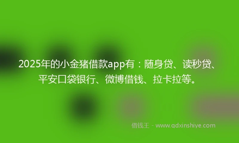 2025年的小金猪借款app有：随身贷、读秒贷、平安口袋银行、微博借钱、拉卡拉等。