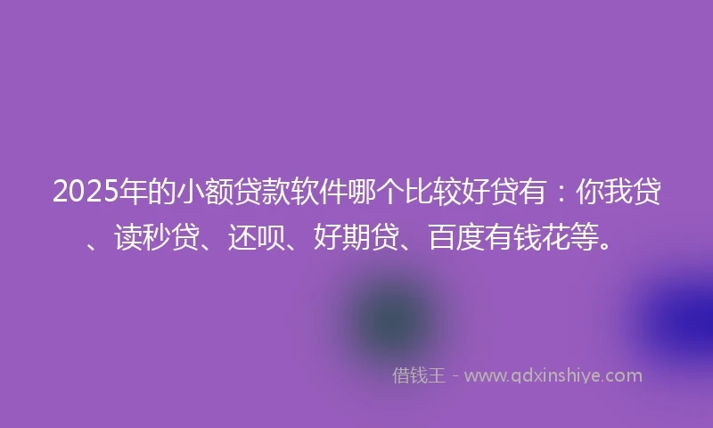 2025年的小额贷款软件哪个比较好贷有：你我贷、读秒贷、还呗、好期贷、百度有钱花等。