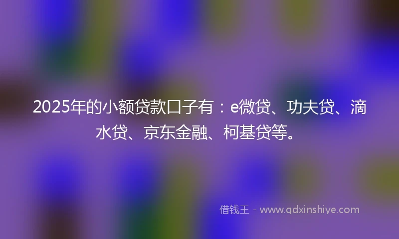2025年的小额贷款口子有：e微贷、功夫贷、滴水贷、京东金融、柯基贷等。