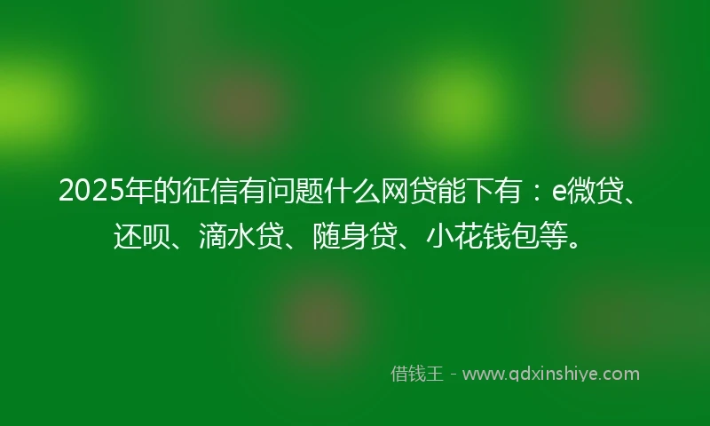 2025年的征信有问题什么网贷能下有：e微贷、还呗、滴水贷、随身贷、小花钱包等。
