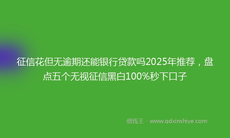 征信花但无逾期还能银行贷款吗2025年推荐，盘点五个无视征信黑白100%秒下口子