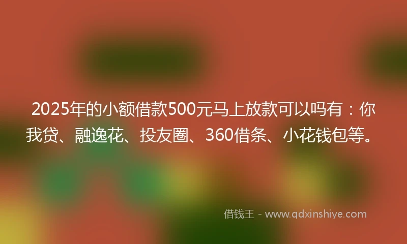 2025年的小额借款500元马上放款可以吗有：你我贷、融逸花、投友圈、360借条、小花钱包等。
