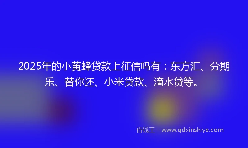 2025年的小黄蜂贷款上征信吗有：东方汇、分期乐、替你还、小米贷款、滴水贷等。